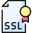 SSL Icon